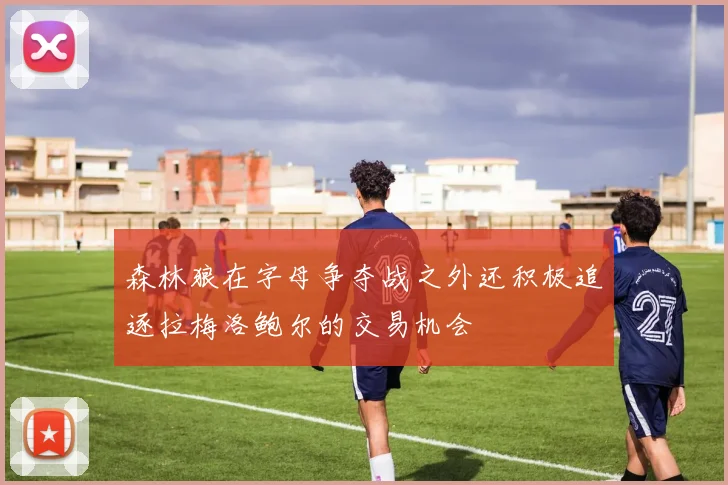 森林狼在字母争夺战之外还积极追逐拉梅洛鲍尔的交易机会