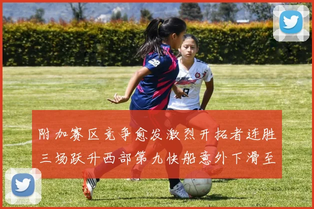 附加赛区竞争愈发激烈开拓者连胜三场跃升西部第九快船意外下滑至第十