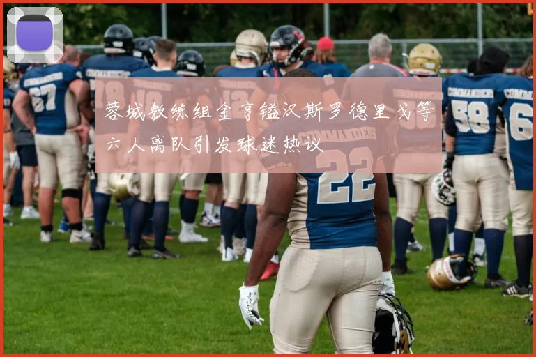 蓉城教练组金亨镒汉斯罗德里戈等六人离队引发球迷热议