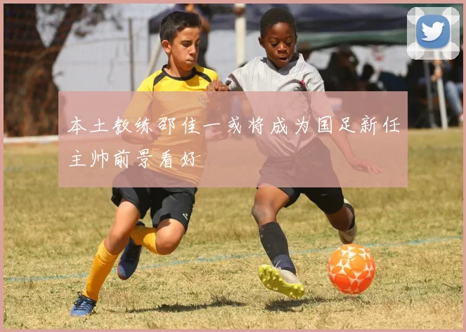 本土教练邵佳一或将成为国足新任主帅前景看好