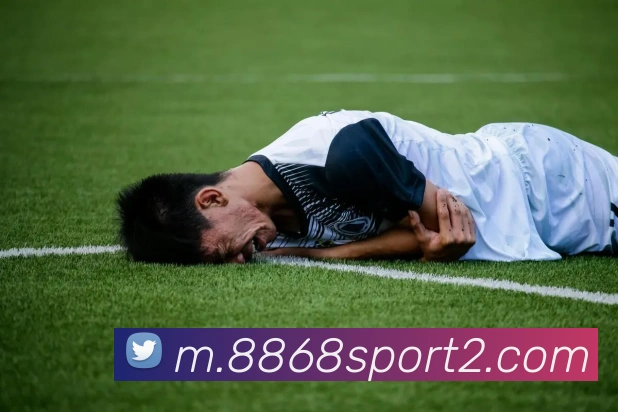 8868体育平台生态图